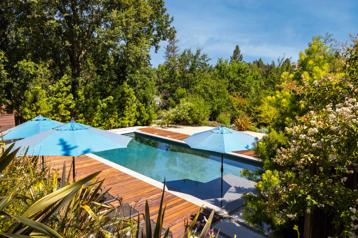 Dark plaster interior giving the San Miguel pool a still, reflective surface