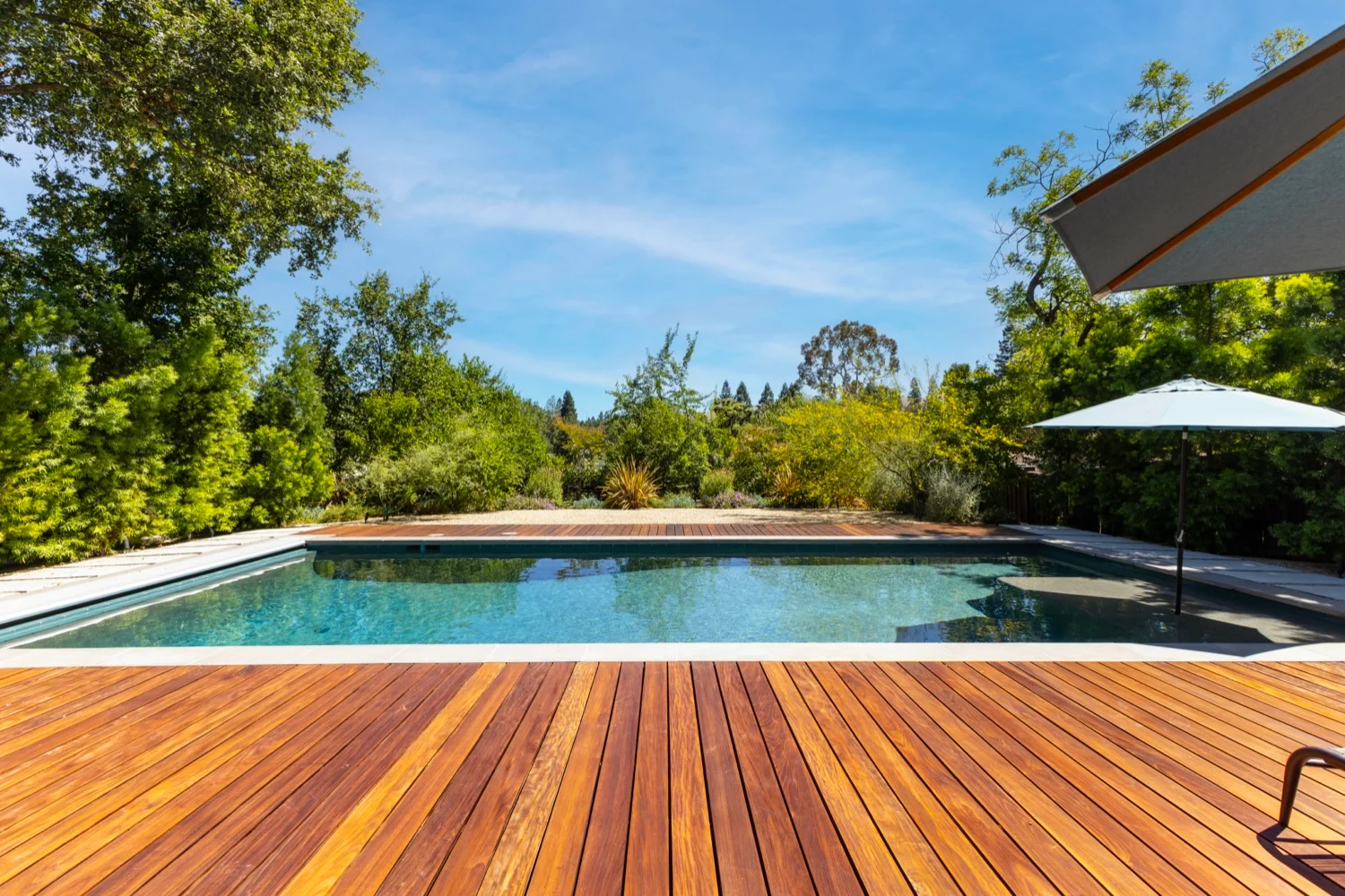 Custom inground pool in a Concord, CA backyard
