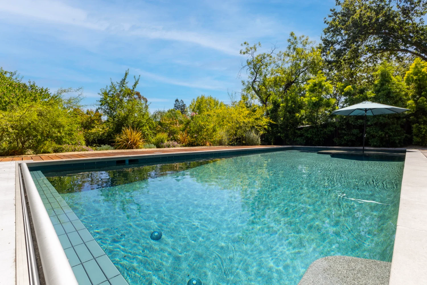 Minimalist pool design framed by trees at San Miguel